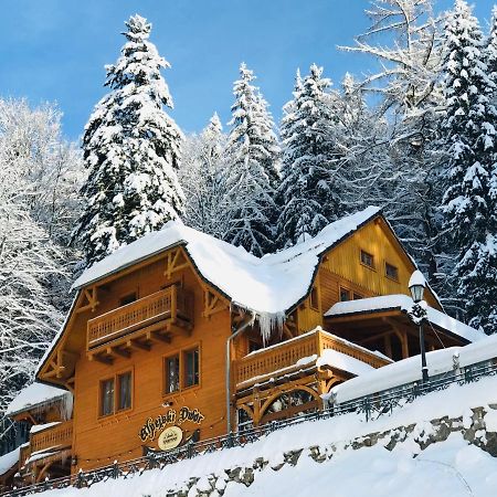 Pensjonat Alpejski Dwor Меджигорце Екстериор снимка