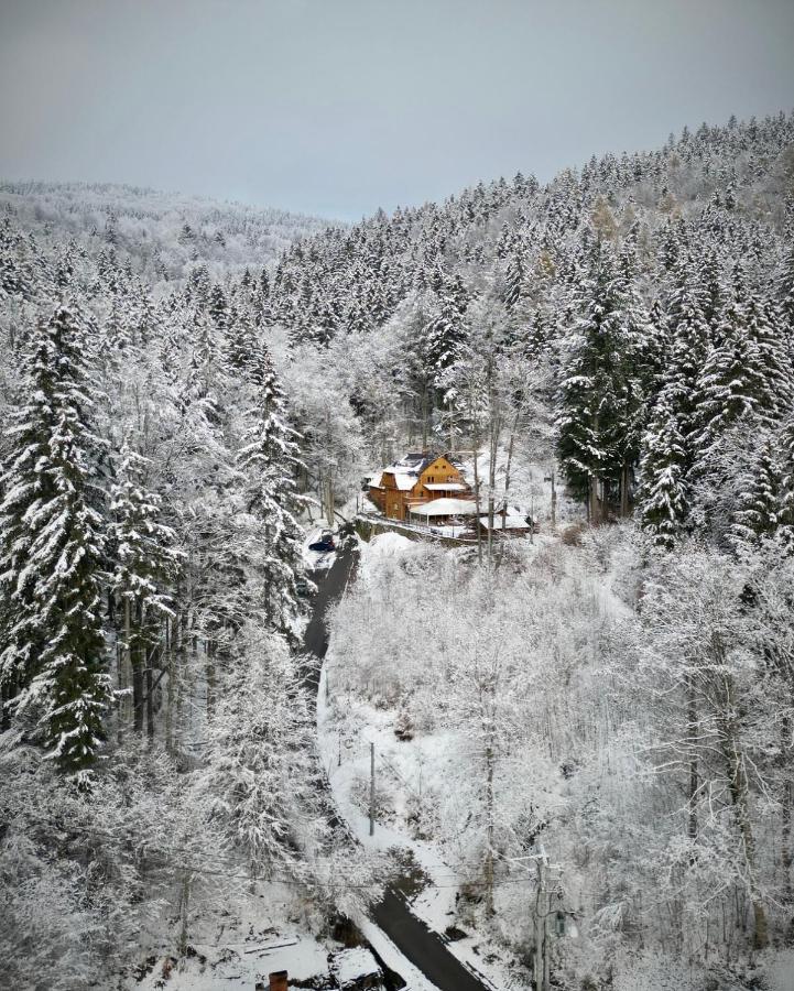 Pensjonat Alpejski Dwor Меджигорце Екстериор снимка