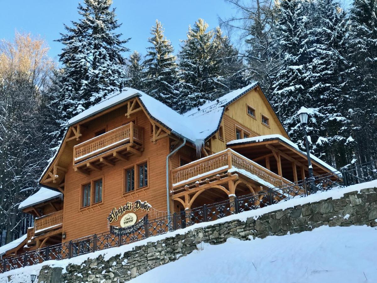 Pensjonat Alpejski Dwor Меджигорце Екстериор снимка