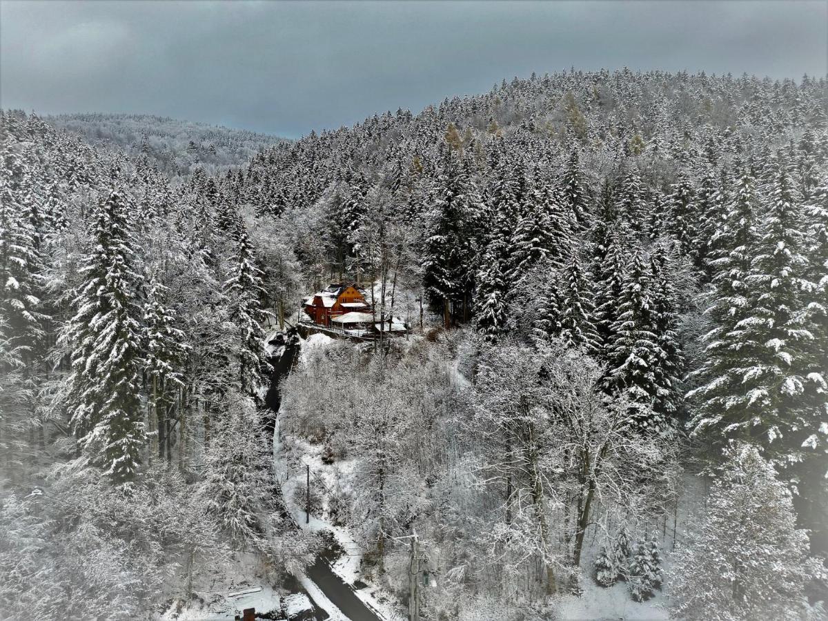 Pensjonat Alpejski Dwor Меджигорце Екстериор снимка