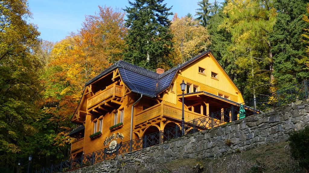 Pensjonat Alpejski Dwor Меджигорце Екстериор снимка